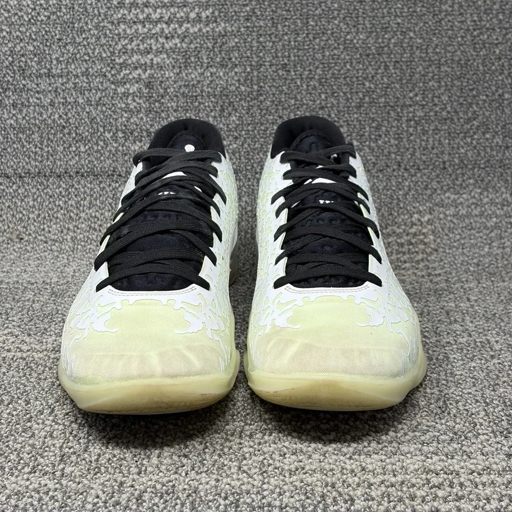 Jordan nike zion